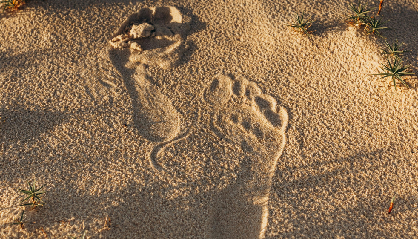La ausencia, El País De Los Jóvenes (Créditos: Pexels @Jonathan Borba)