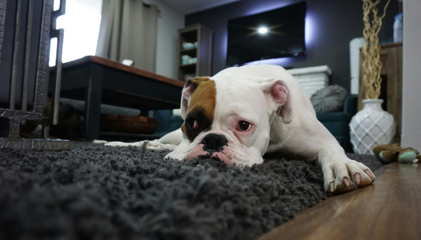 El agotamiento silencioso que todos estamos viviendo. (Créditos: Pexels @Pixabay)