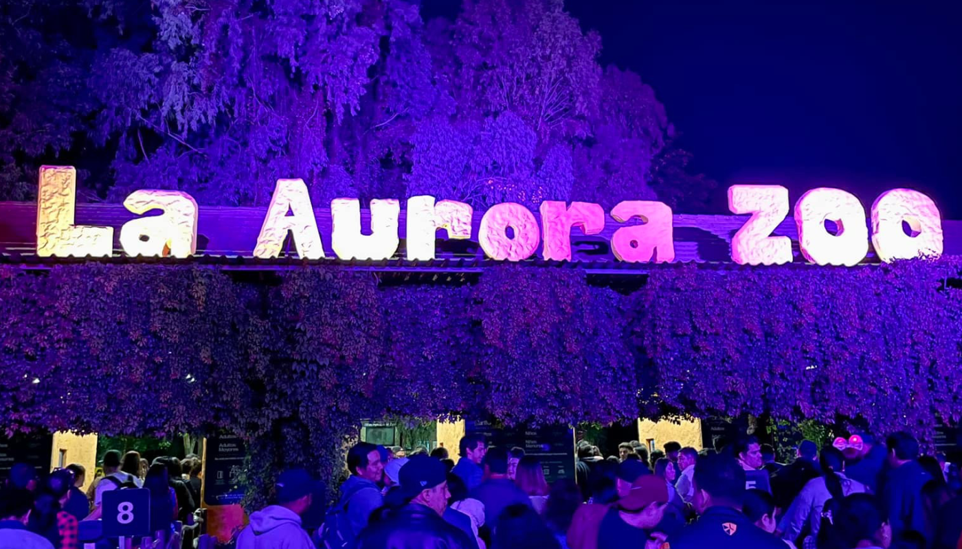 vive-la-magia-de-las-noches-de-luna-en-el-zoologico-la-aurora-el-pais-de-los-jovenes