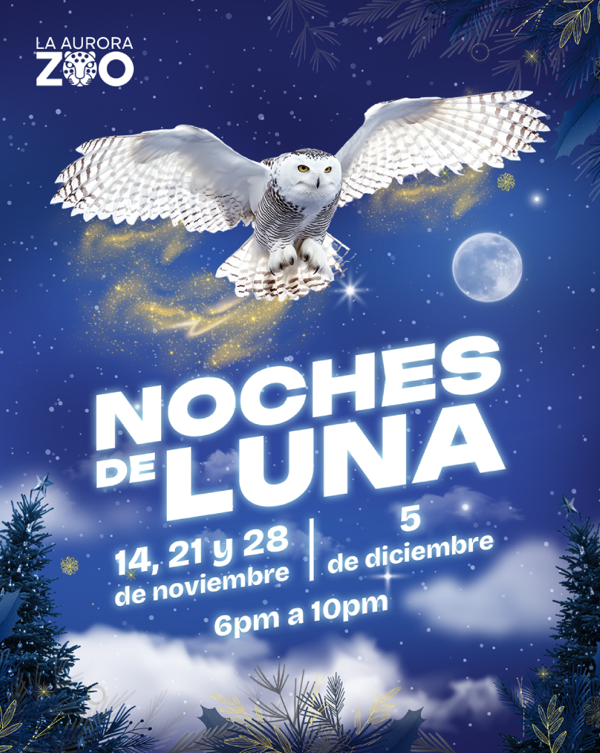 El Zoológico La Aurora revive la magia nocturna con sus esperadas Noches de Luna (Crédito: Parque Zoológico Nacional La Aurora)