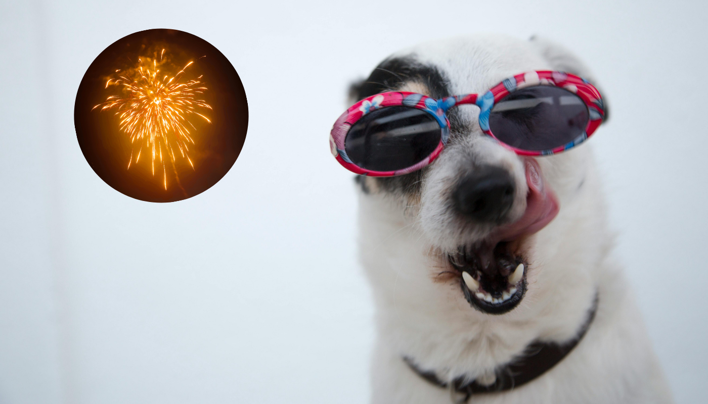 (Créditos: Pexels @aman vishwakarma @Ilargian Faus)