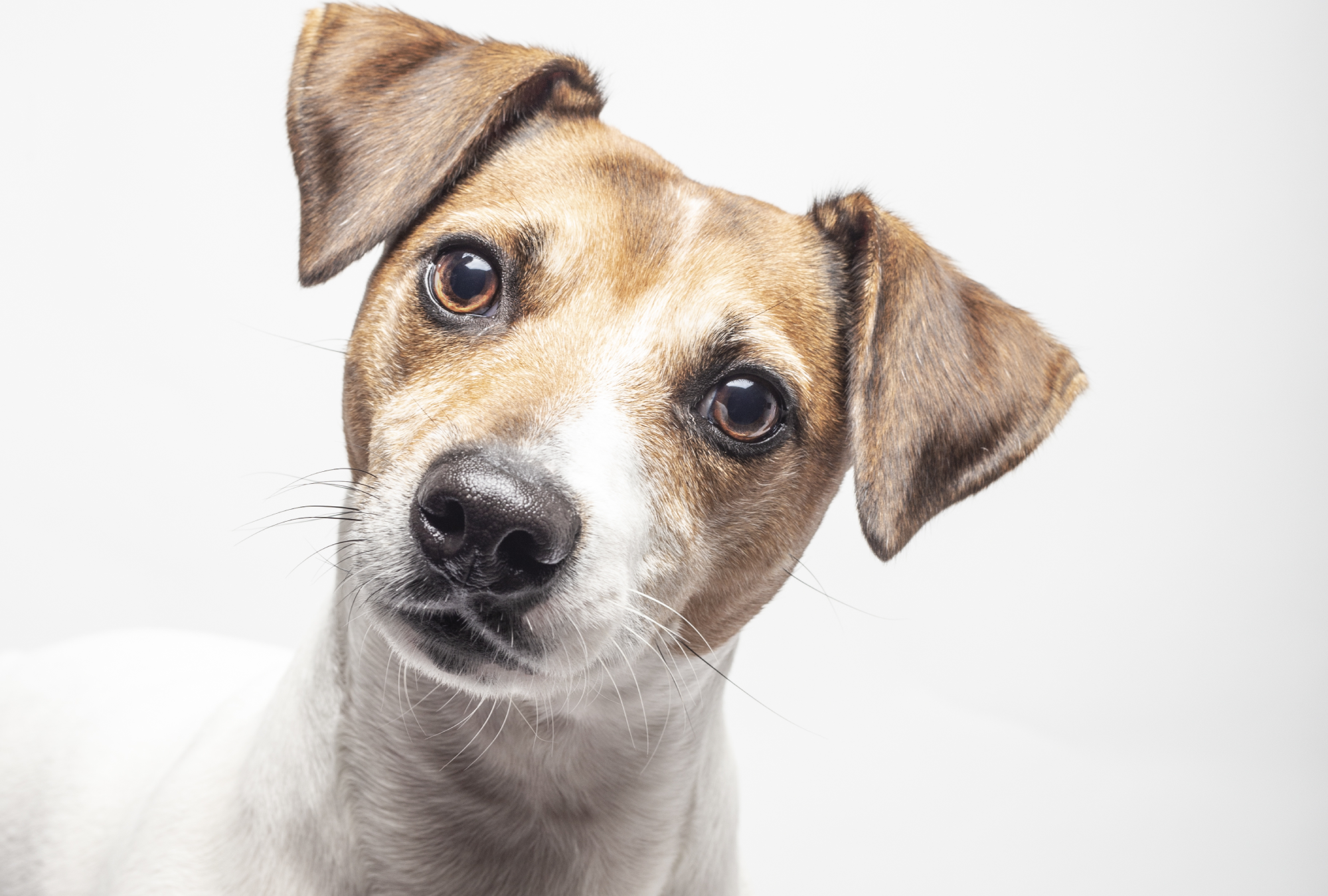 Cosas normales con razones nada normales. (Créditos: freepik)