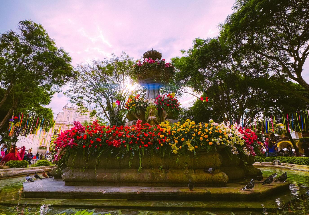 Antigua Guatemala se prepara para florecer con el Festival de las Flores 2025, lleno de arte, color y tradición (Crédito: Festival de Las Flores en La Antigua Guatemala)