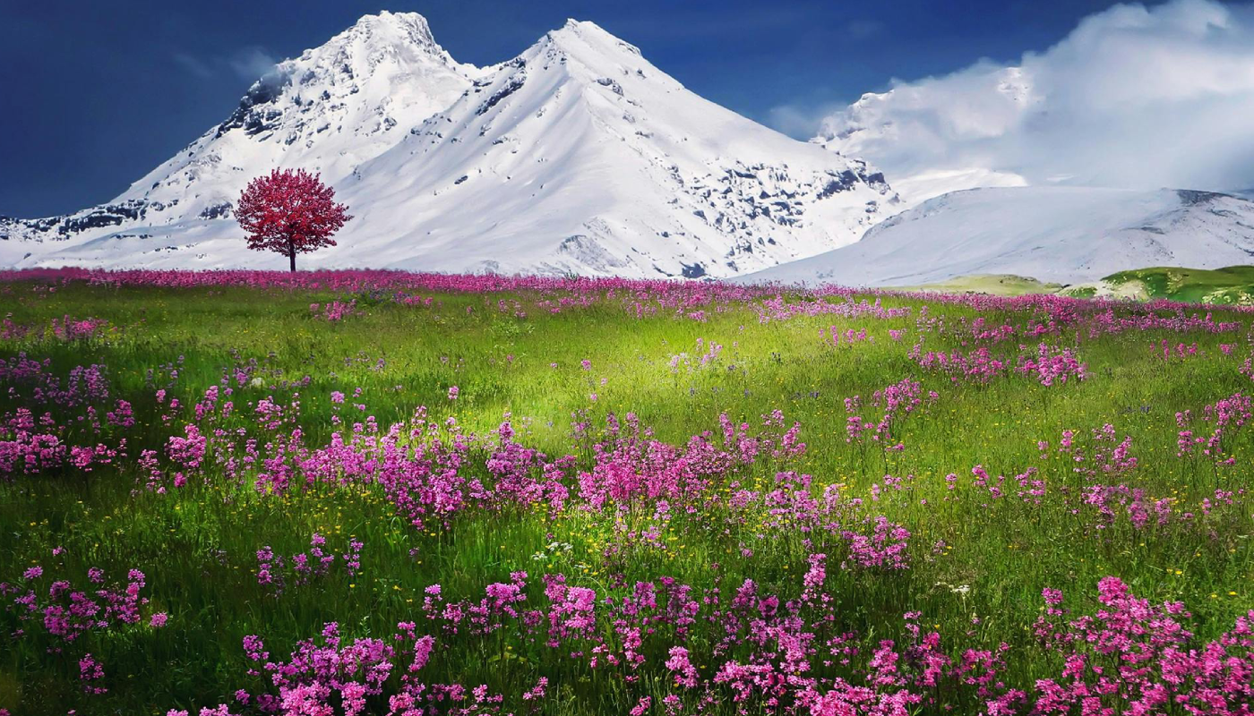 Compararte te frena más de lo que imaginas. (Créditos: Pexels @Pixabay)