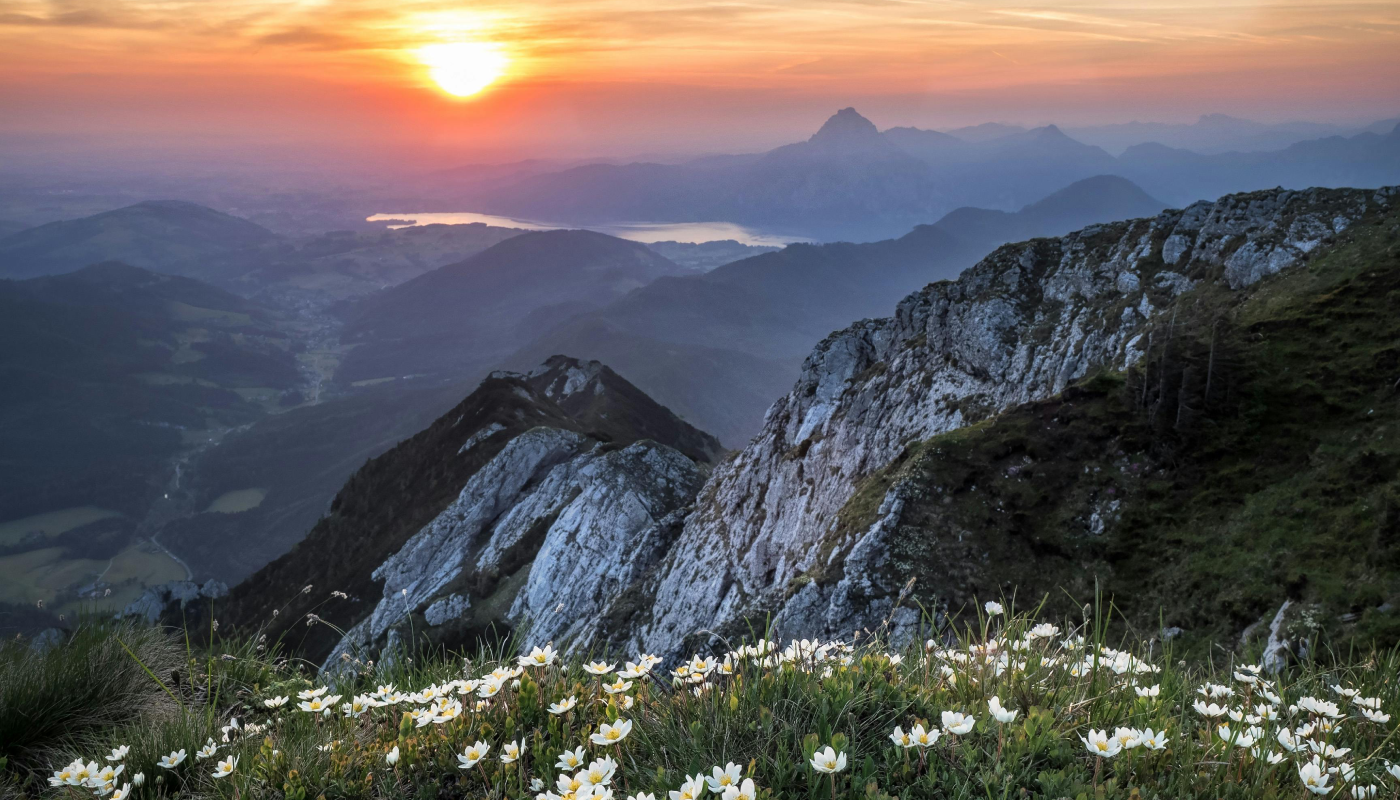 No necesitas tener todo claro para empezar. (Créditos: Pexels @Simon Berger)