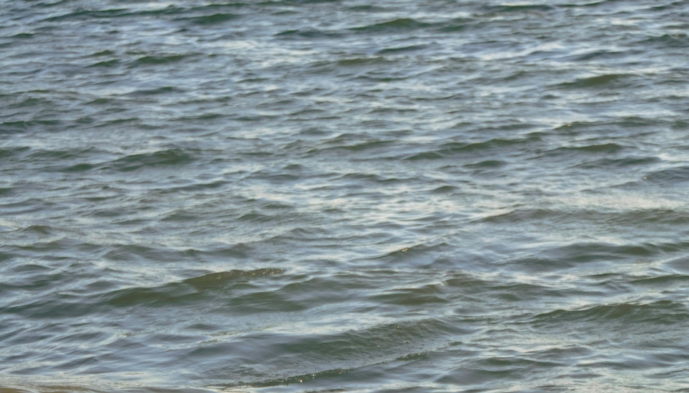 Por qué casi ningún barco pasa cerca del Punto Nemo. (Créditos: Pexels @lizieys)