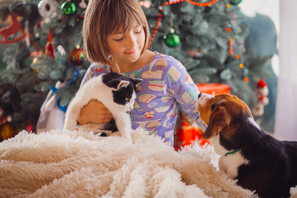 ¡ALERTA! Lo que debes saber antes de usar pirotecnia