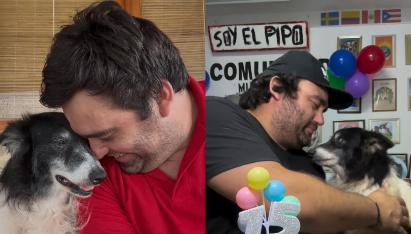Pipo, el perro rescatado que hoy es la voz de miles de animales