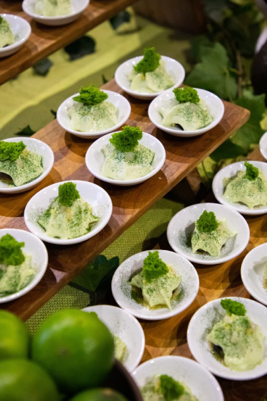 El Festival del Aguacate 2026 celebra el legado de Wilson Popenoe (Crédito: @casapopenoe.ufm.edu)