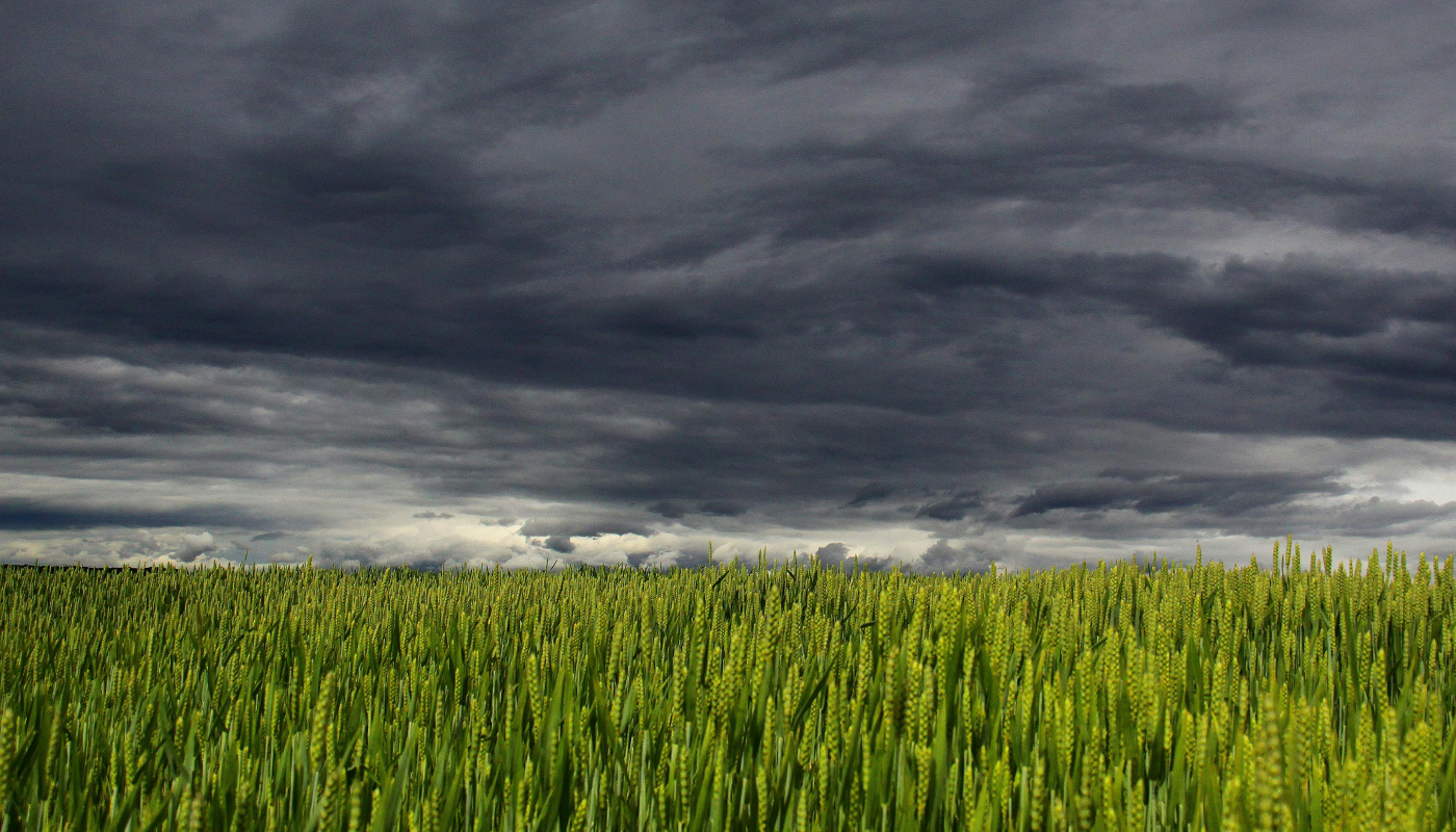 Mapfre y Lobelia Earth renuevan alianza para evaluar riesgos climáticos