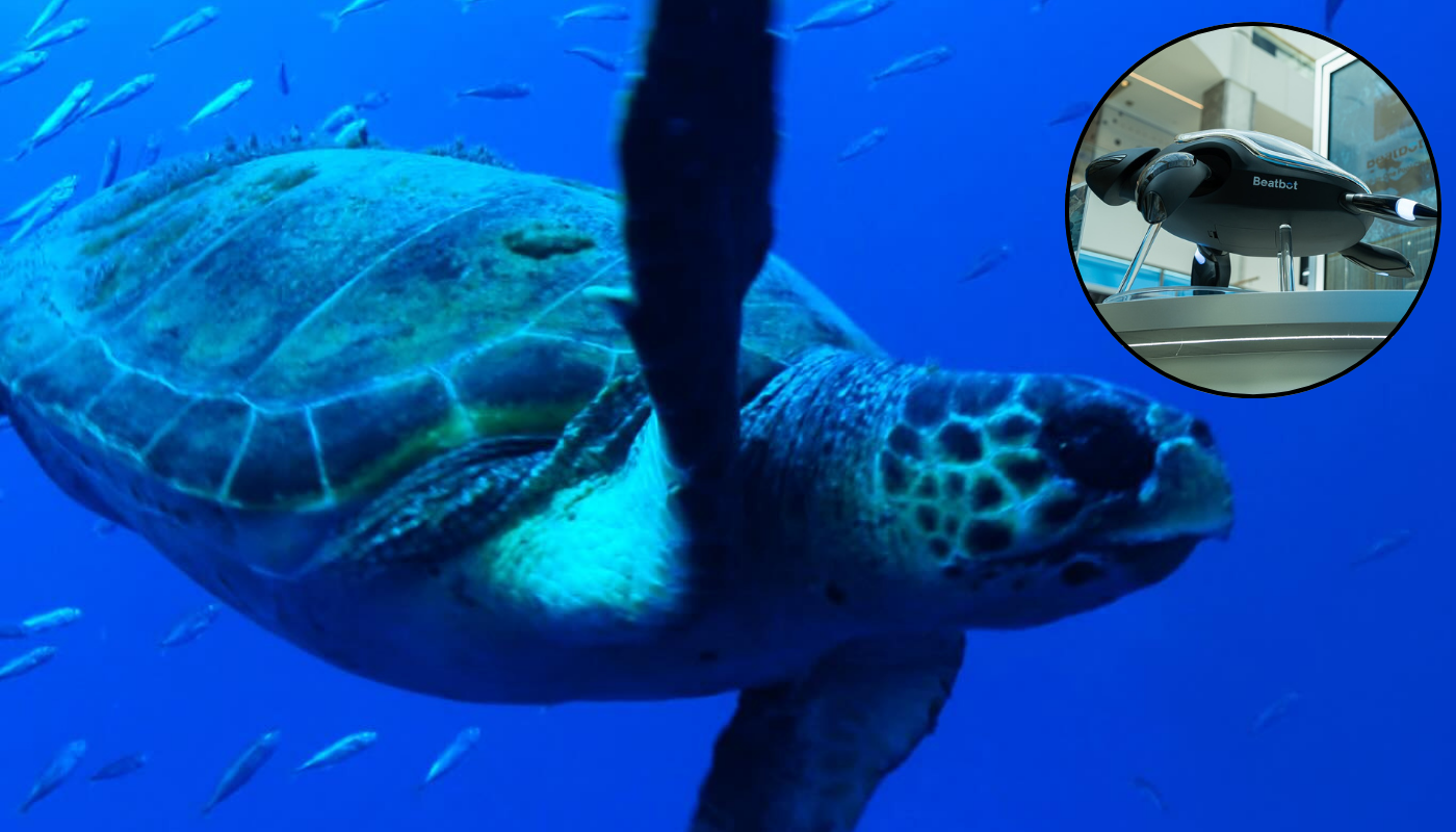 Así es RoboTurtle, creado para explorar mares difíciles de alcanzar