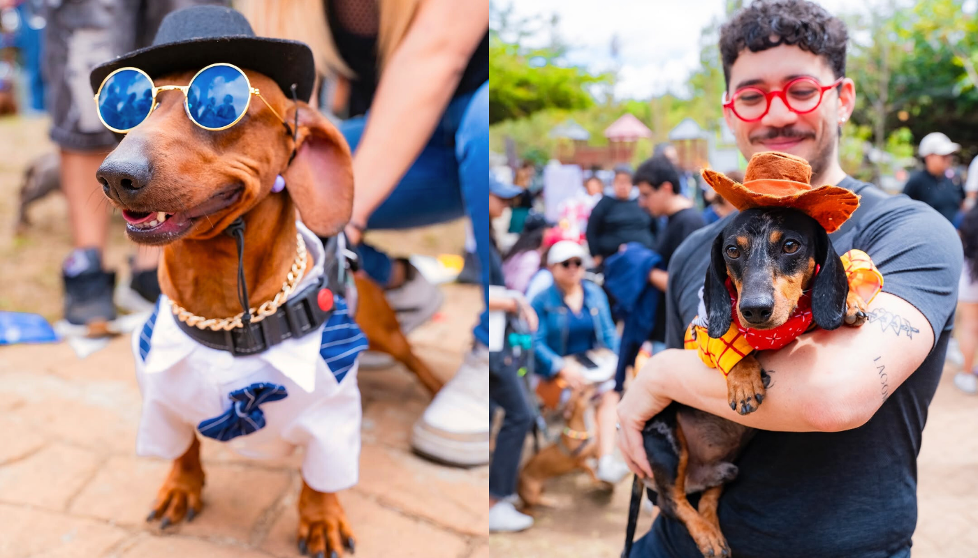 Carreras, disfraces y diversión: todo sobre la Convención de Perros