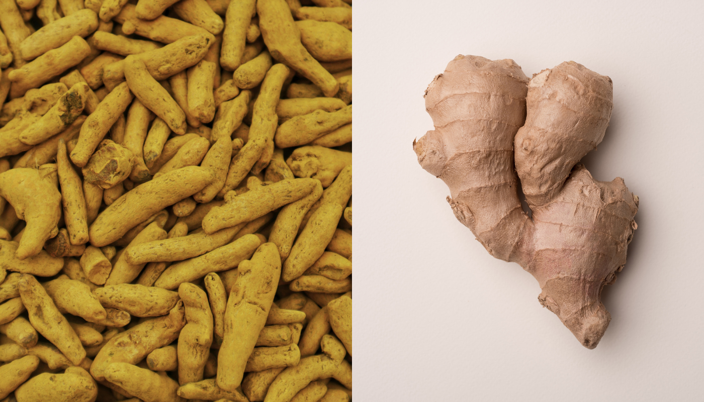 Beneficios y límites del jengibre y la cúrcuma según la ciencia