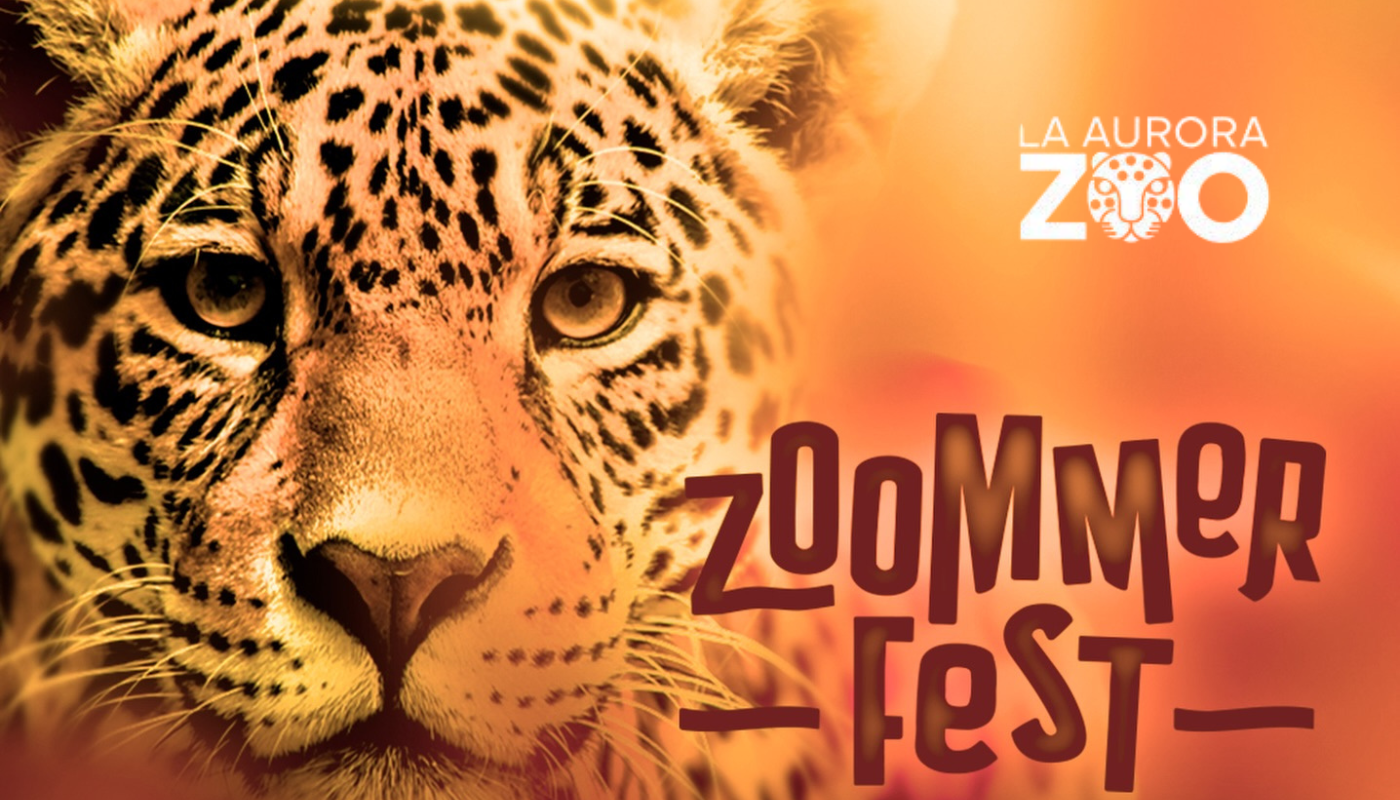 El zoológico se transforma de noche. (Créditos: @ZooLaAurora)