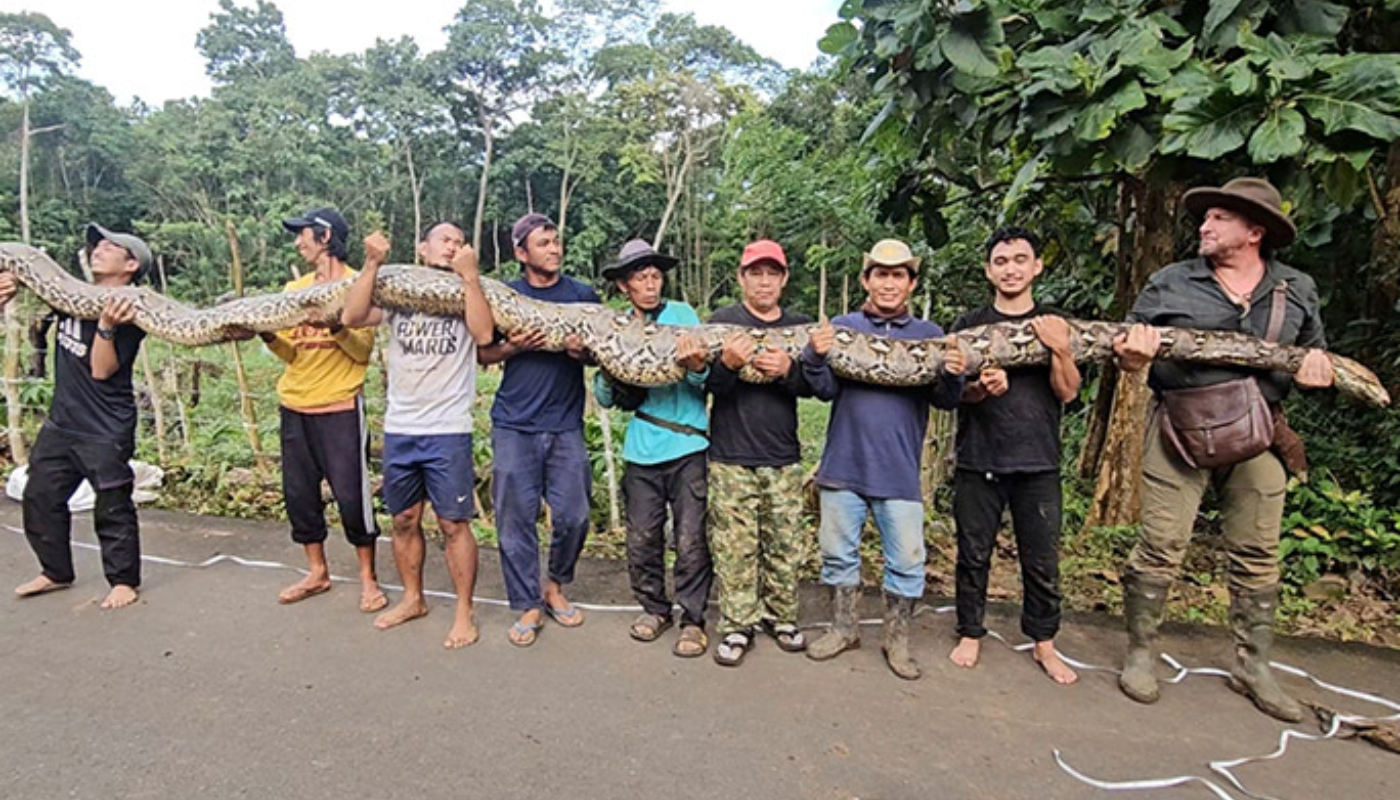 Un hallazgo que rompe todos los récords. (Créditos: Record Guinnes)