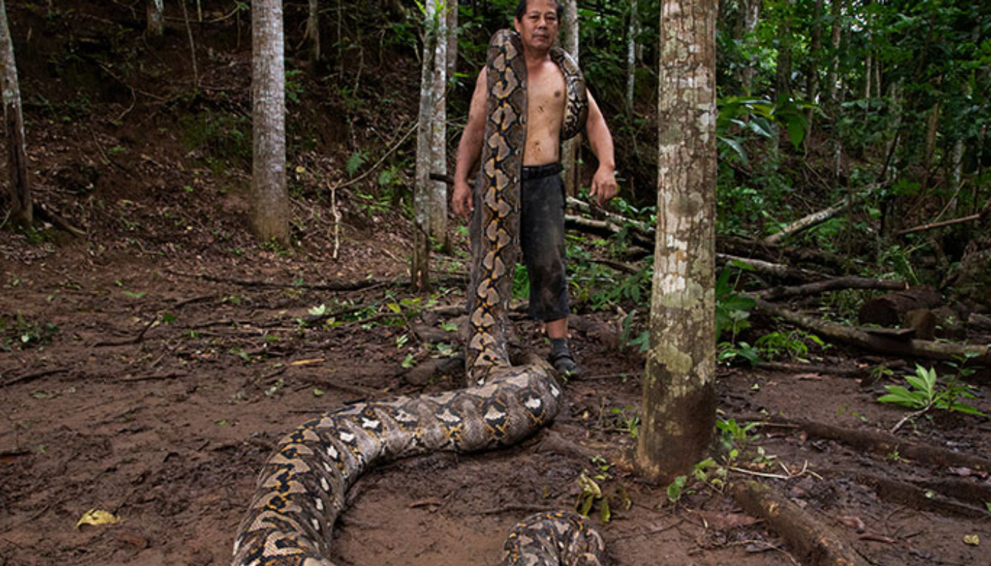 Un récord validado por Guinness World Records. (Créditos: Record Guinnes)