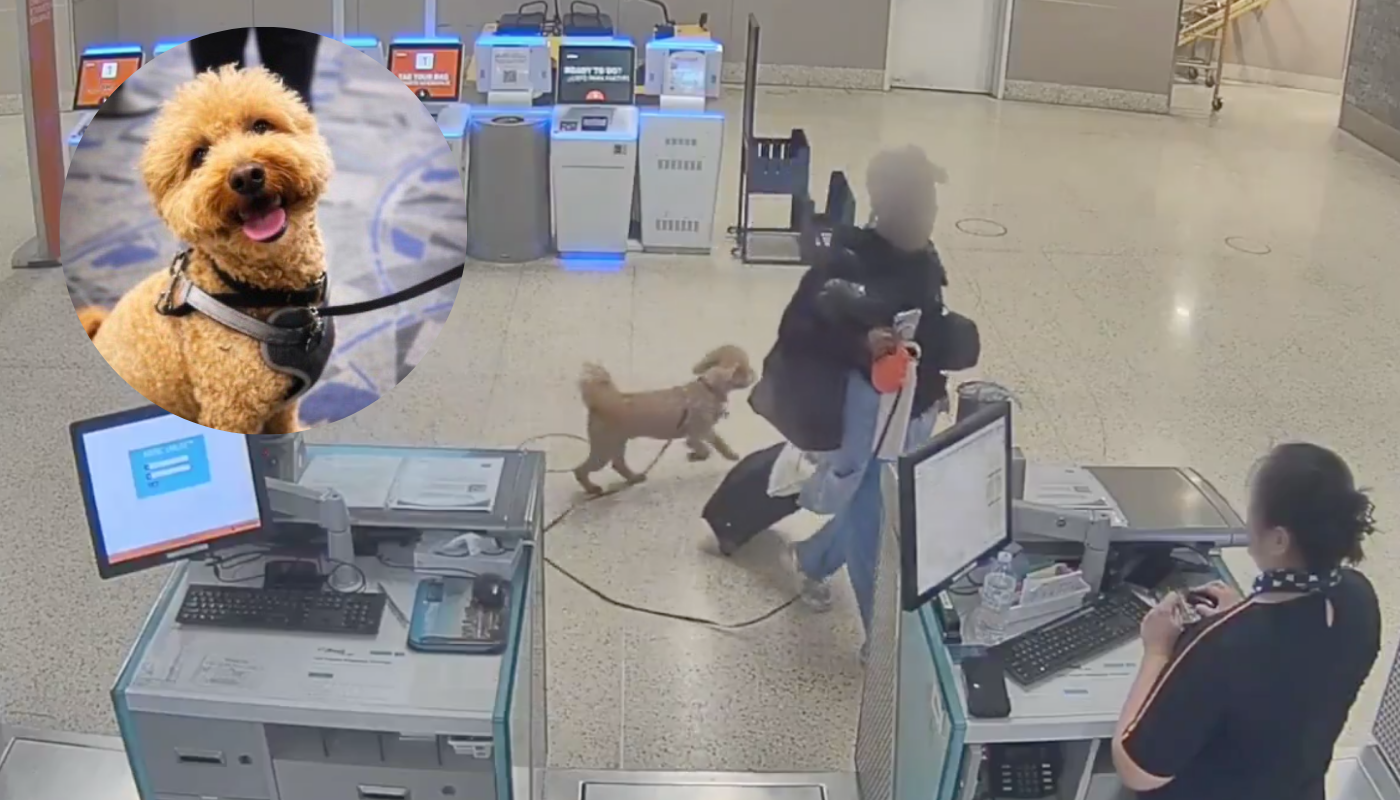 Abandona a su perro en aeropuerto y el video genera indignación