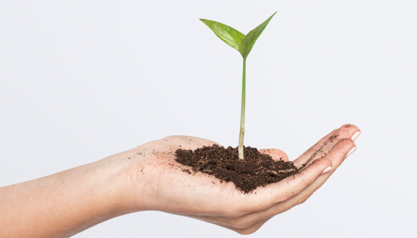 Ahorrar no es difícil si sabes por dónde empezar