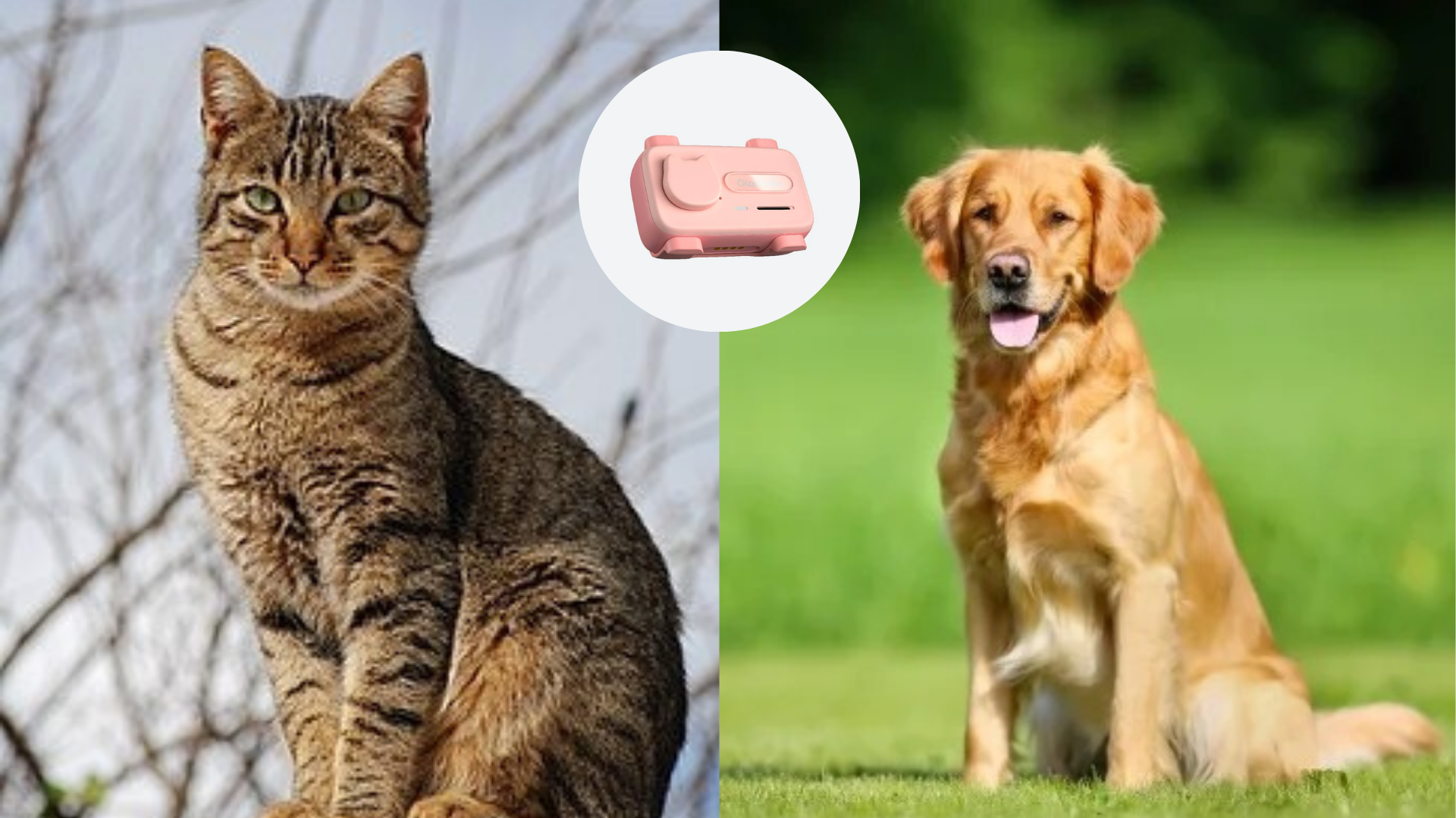 el primer petphone de las mascotas.