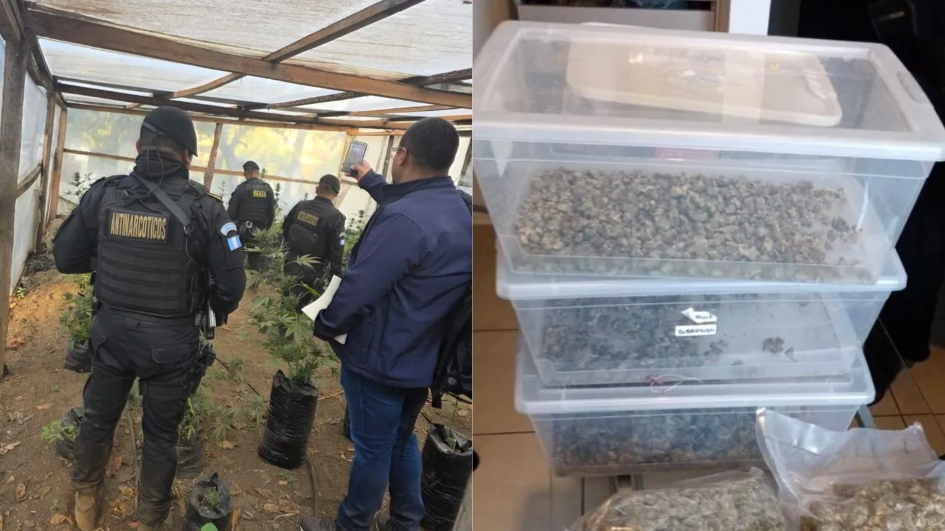 narcotráfico de la repostería.