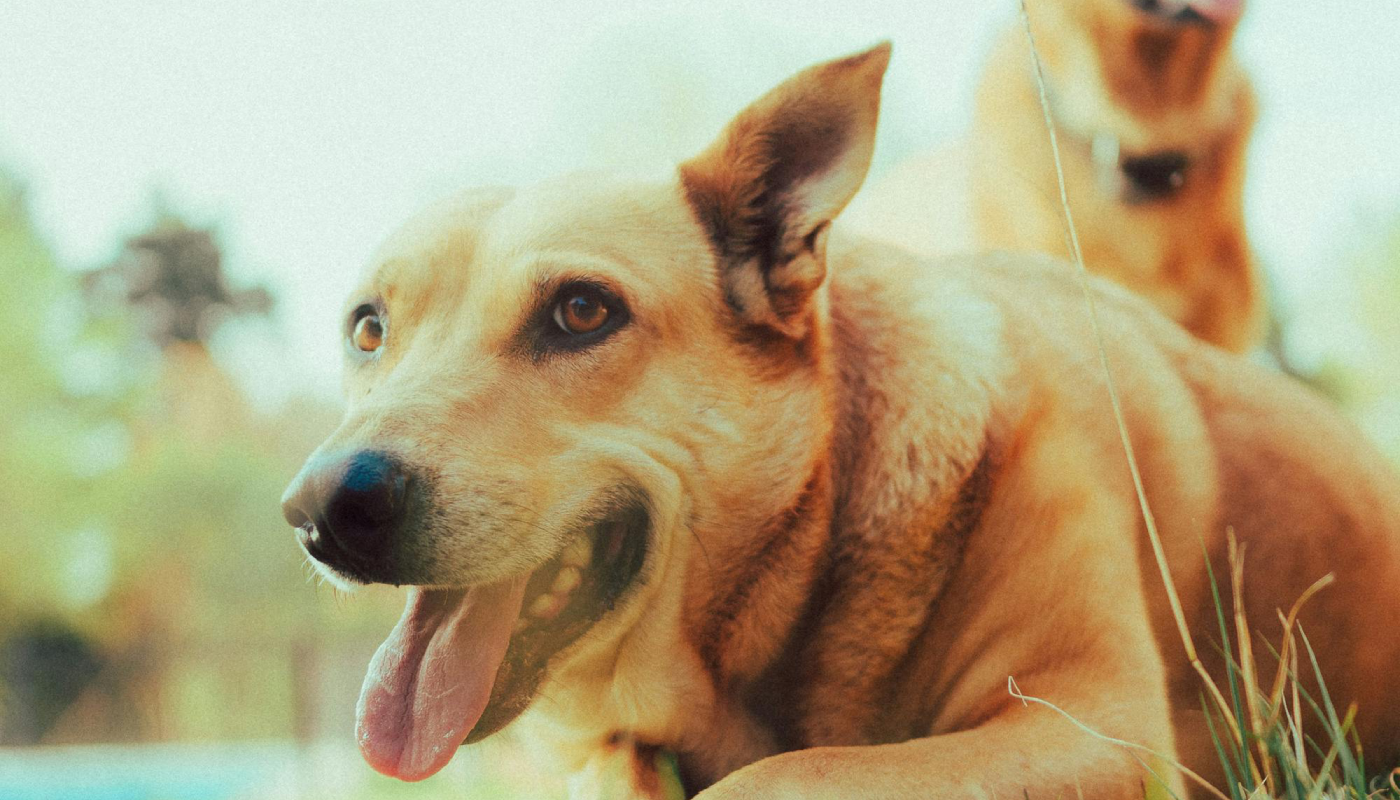 Cómo actuar antes de que sea tarde