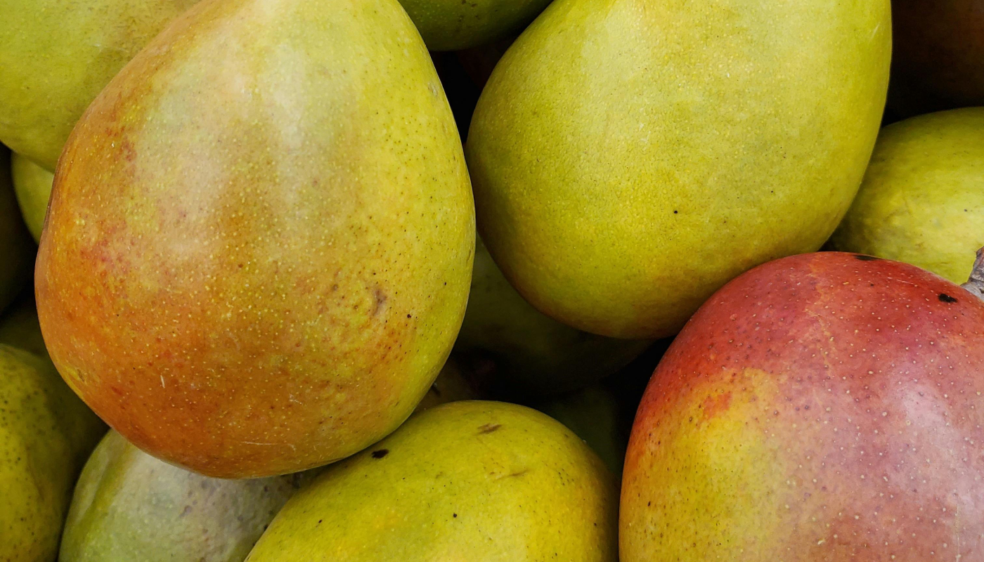 El evento dedicado al mango ya prepara una nueva edición. 