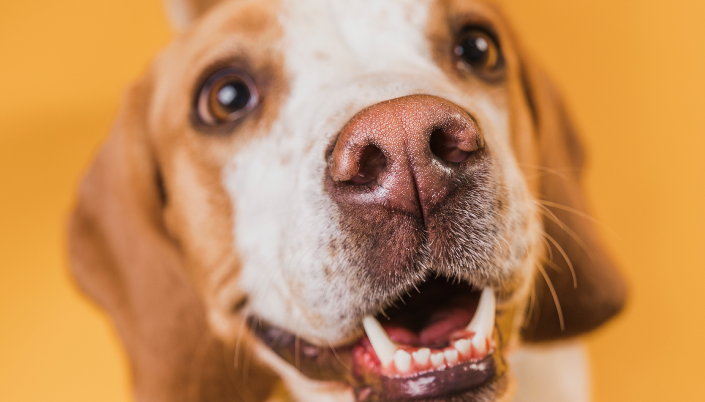 Un gesto que significa más que cariño.