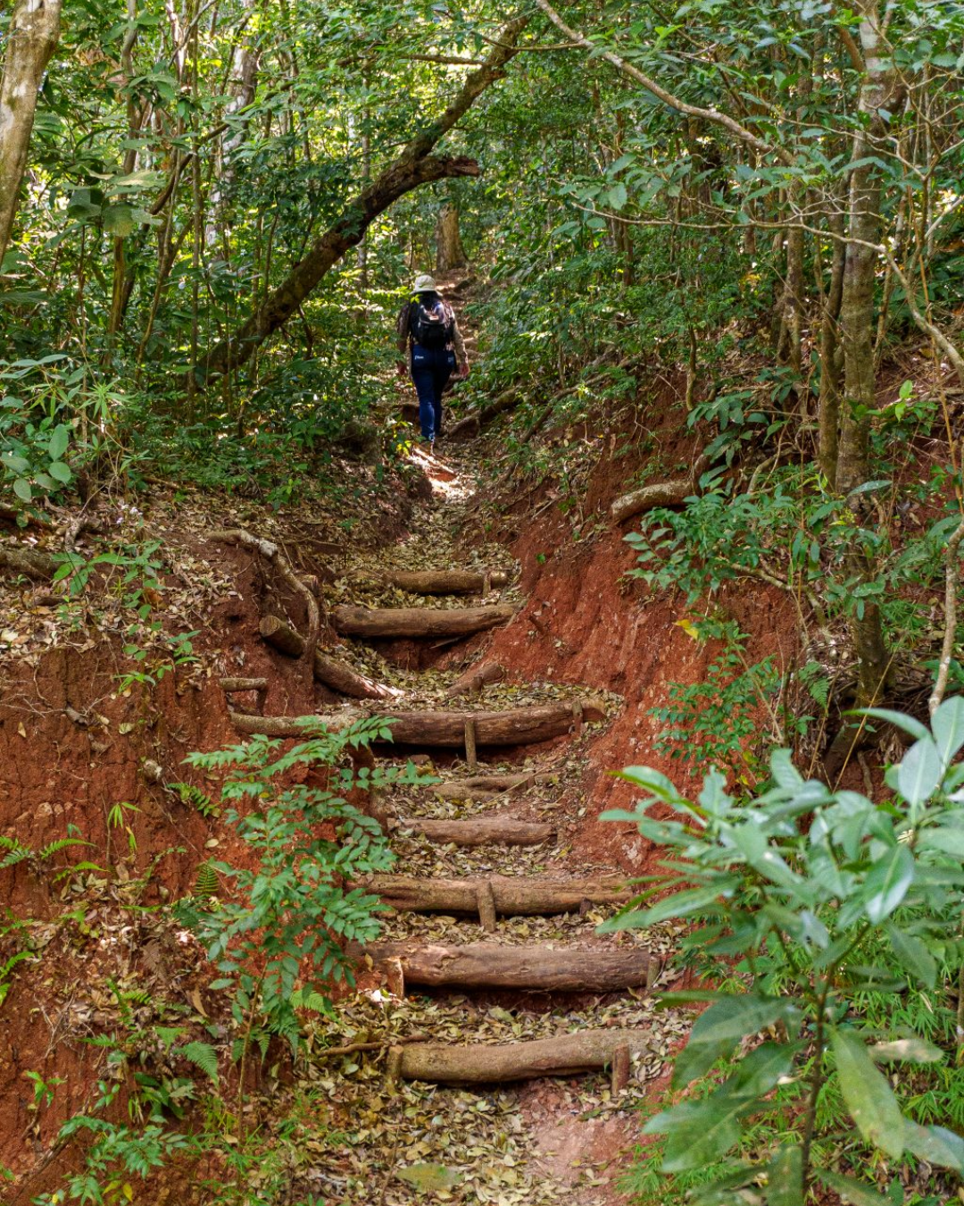 Este Parque Nacional de El Salvador, seleccionado entre las 7 Maravillas del Mundo 2026
(Crédito: Ministerio de Medio Ambiente y Recursos Naturales de El Salvador (MARN)