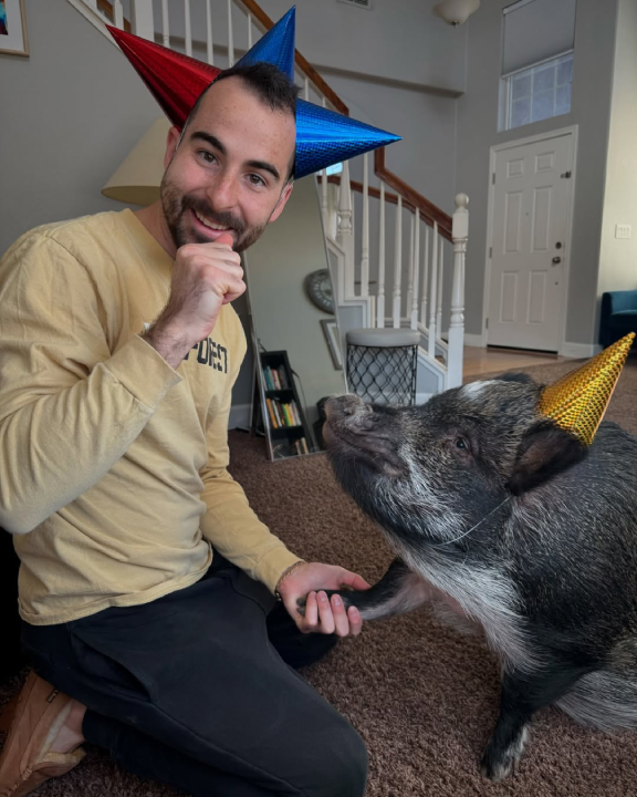 Merlin, el cerdo influencer que “habla” rompe récord Guinness