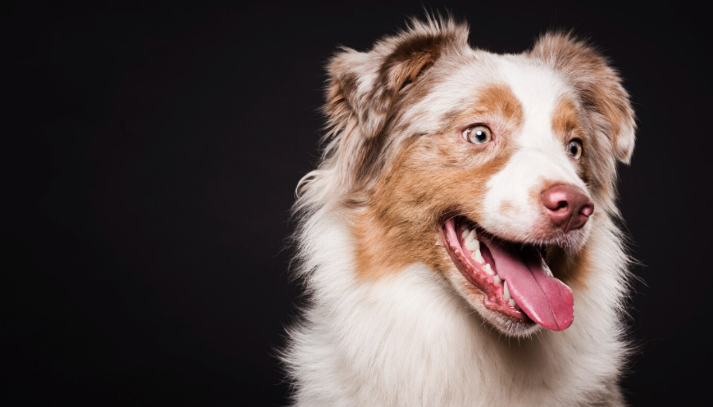 No todos los signos de dolor son evidentes